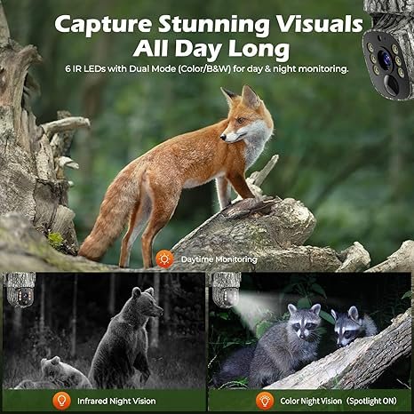 cámara solar de alta resolución, captura imágenes nítidas