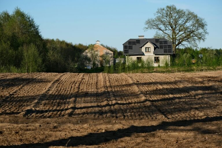 Descubre las 7 razones poderosas por las que la energía solar puede transformar el futuro del campo