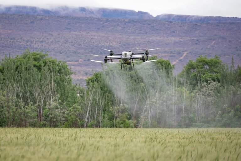 dron pulverizando campo