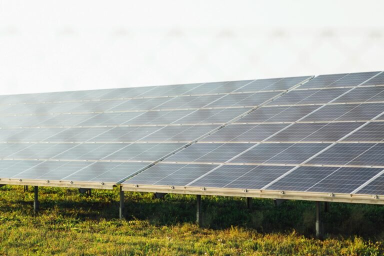 planta de paneles solares